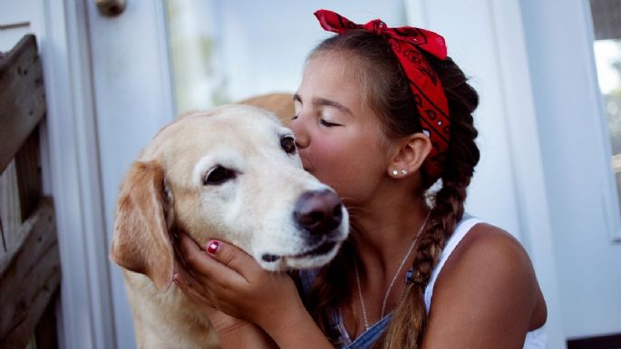 Cómo decirle te quiero a tu perro de forma correcta, según experto