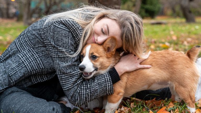 lenguaje canino demostracion de afecto