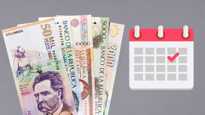Devolución del IVA 2025: estas son las FECHAS de PAGO en febrero vía DPS