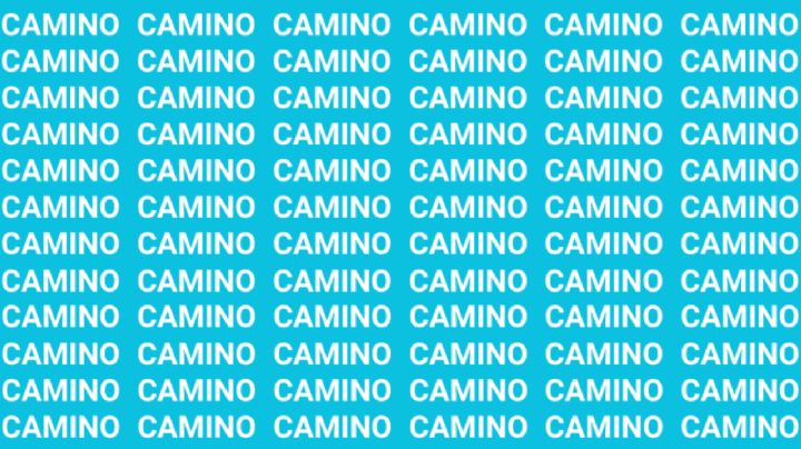 Sólo la mente de un maestro puede encontrar la palabra Comino' en menos de 10 segundos