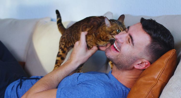 Conoce la mejor forma de comunicarte con tu gato, según la ciencia