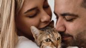 Foto ilustrativa de la nota titulada Hombres vs mujeres: conoce a quiénes prefieren los gatos