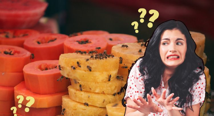 Ni bicarbonato ni lavanda: el truco de los profesionales para eliminar las moscas de la fruta