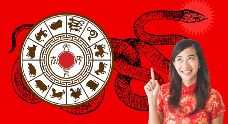 Año de la Serpiente de madera: los 3 signos que alcanzan el éxito profesional entre el 25 y el 28 de febrero