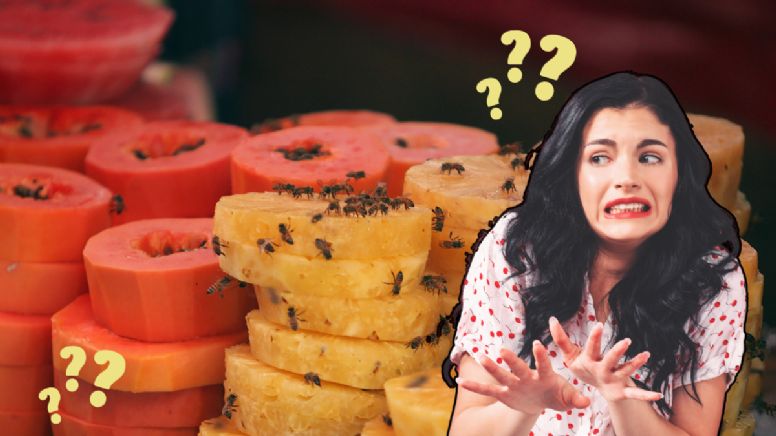 Ni bicarbonato ni lavanda: el truco de los profesionales para eliminar las moscas de la fruta