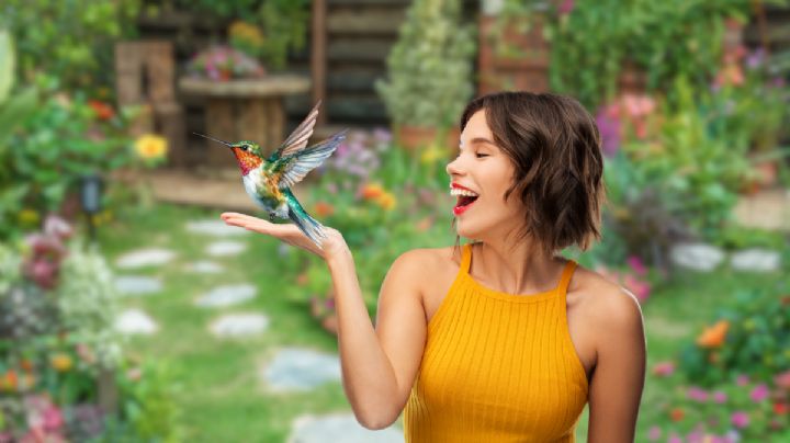 Qué significa que un colibrí visite a una persona, según la Inteligencia Artificial