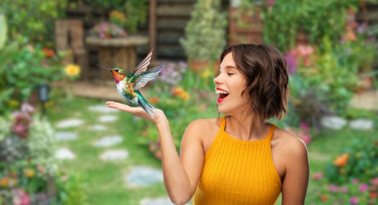 Qué significa que un colibrí visite a una persona, según la Inteligencia Artificial