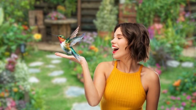 Qué significa que un colibrí visite a una persona, según la Inteligencia Artificial