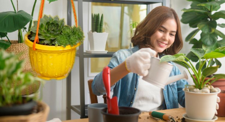 Adiós falta de oxígeno: estos son los 5 consejos esenciales para tener unas plantas saludables en casa