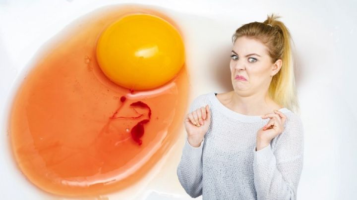Ni fecundado ni en mal estado: este es el significado de las manchas rojas en los huevos