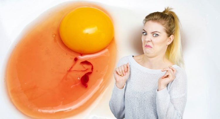 Ni fecundado ni en mal estado: este es el significado de las manchas rojas en los huevos