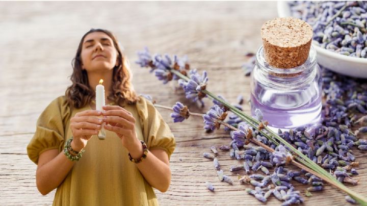 Cómo utilizar la lavanda para limpiar tu casa y atraer la prosperidad y plenitud financiera en el mes de febrero