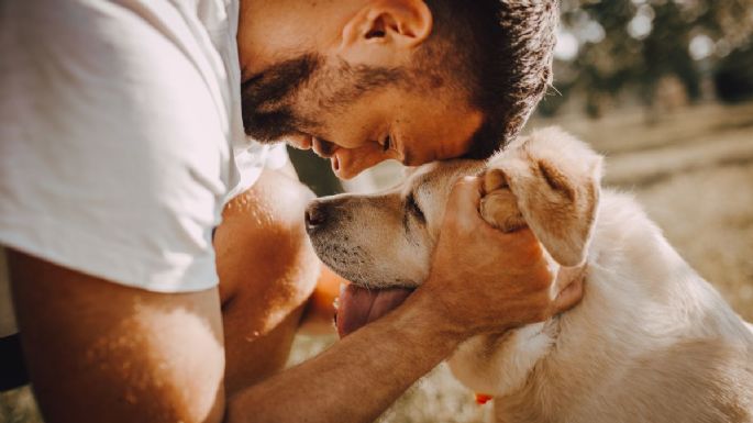 La ciencia responde: estas son las razas de perros más inteligentes de todas