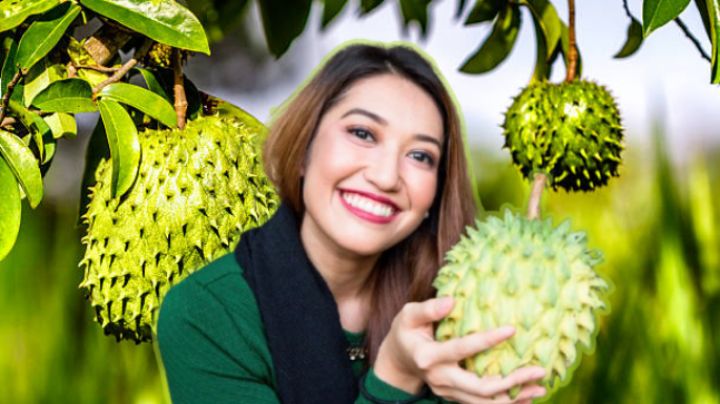 Esta es la fruta que posee un alto contenido en antioxidantes y que es ideal para combatir las bacterias