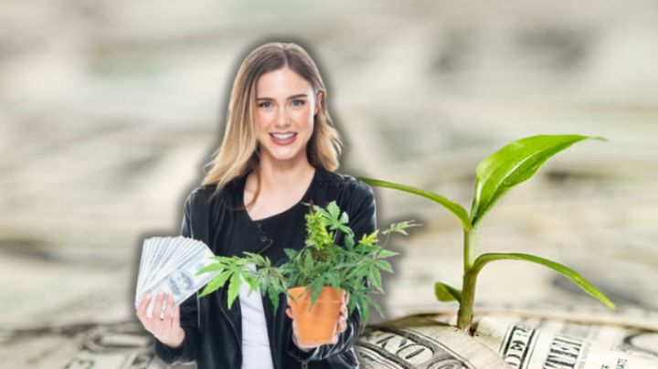 Adiós pobreza: estas son las 7 plantas que atraen el dinero en el hogar