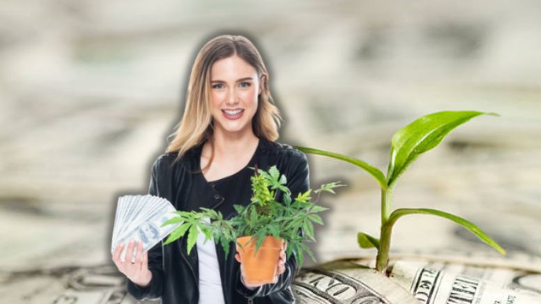 Adiós pobreza: estas son las 7 plantas que atraen el dinero en el hogar