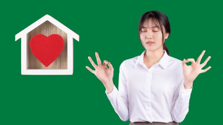 Dollarcity: este es el nuevo producto para cuidar la seguridad de tu casa por menos de 18 mil pesos