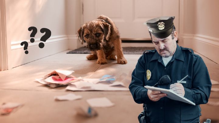 Toma aire antes de conocer la multa millonaria por tenencia irresponsable de perros en conjuntos residenciales