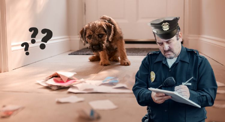 Toma aire antes de conocer la multa millonaria por tenencia de irresponsable de perros en conjuntos residenciales