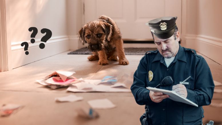 Toma aire antes de conocer la multa millonaria por tenencia irresponsable de perros en conjuntos residenciales