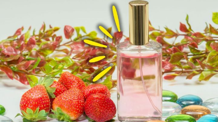 Cuál es el perfume de mujer que huele a fresa y vainilla, se vende en Bogotá y es ideal para derrochar elegancia