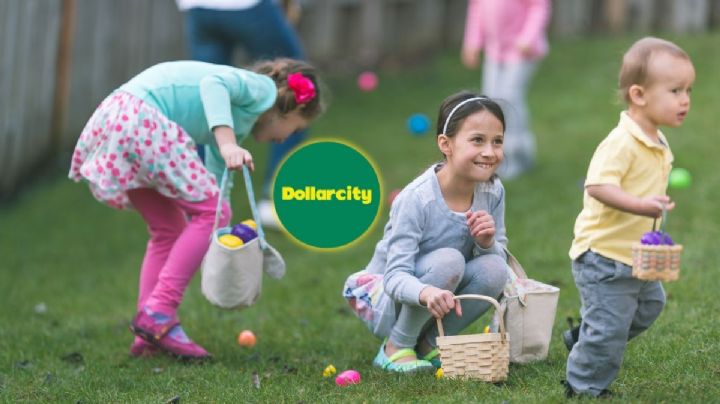Dollarcity: el producto ideal para sorprender en estas Pascuas que es furor en ventas