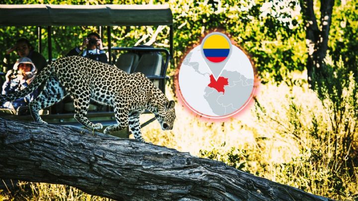 La reserva natural en Colombia que es ideal para hacer un safari y pocos conocen