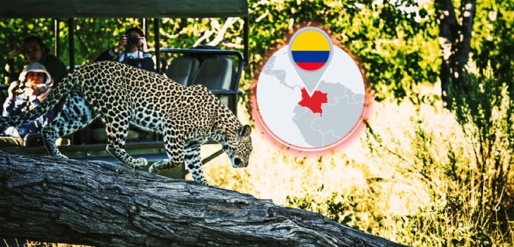 La reserva natural en Colombia que es ideal para hacer un safari y pocos conocen