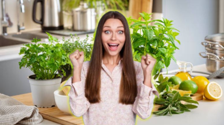 Estas son las 3 plantas que debes tener en tu cocina para tener vibrar positivas, según el Feng Shui