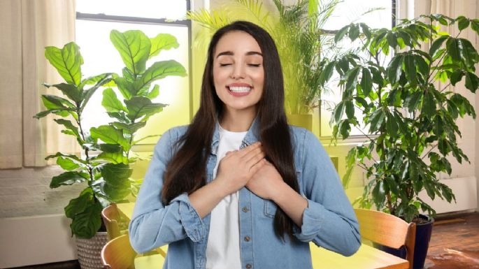 El Árbol de Jade es de otro siglo: estas son las 3 plantas que son ideales para atraer la prosperidad y abundancia