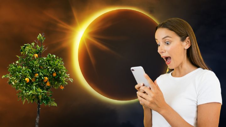Eclipse solar: estos son los 3 árboles frutales que se verán perjudicados este 29 de marzo debido a la posición de los astros
