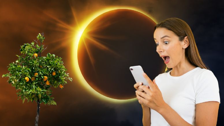 Eclipse solar: estos son los 3 árboles frutales que se verán perjudicados este 29 de marzo debido a la posición de los astros