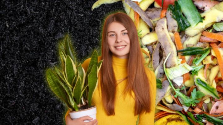 El mejor abono casero para que tus plantas estallen de flores y frutos