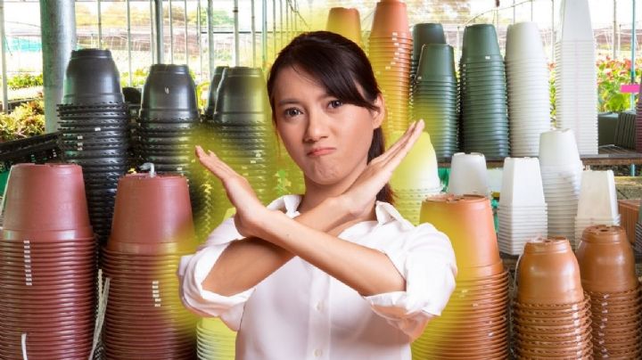 Las macetas plásticas son de otro siglo: esta es la nueva tendencia que aporta modernidad y elegancia a tu jardín
