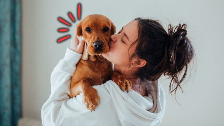 esterilizacion gratuita de perros y gatos en bogota