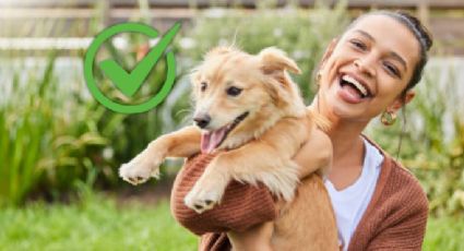 Se confirmó la noticia que involucra a cientos de trabajadores de perros y gatos