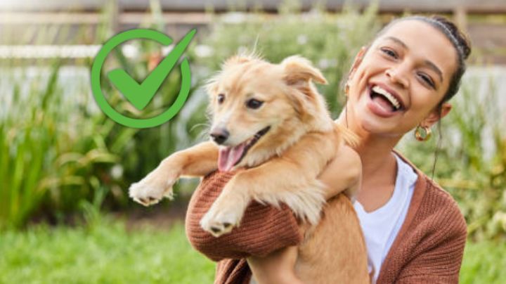 Se confirmó la noticia que involucra a cientos de trabajadores de perros y gatos