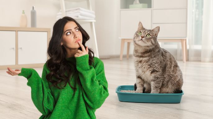 Qué significa que tu gato comience a correr por las noches, según expertos veterinarios