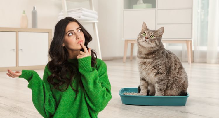 Qué significa que tu gato comience a correr por las noches, según expertos veterinarios
