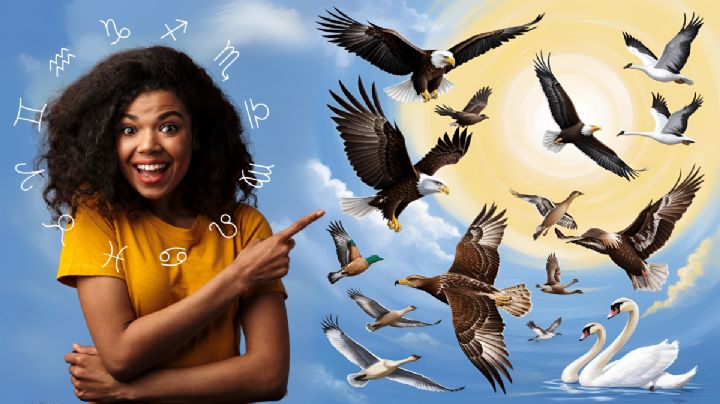 Descubre qué animal volador serías; según tu fecha de nacimiento