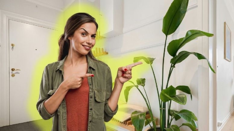 Ni cuadros ni espejos; cómo decorar tu pasillo con plantas