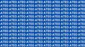 Foto ilustrativa de la nota titulada Sólo una persona muy tenta puede encontrar la palabra 'Alto' en menos de 10 segundos