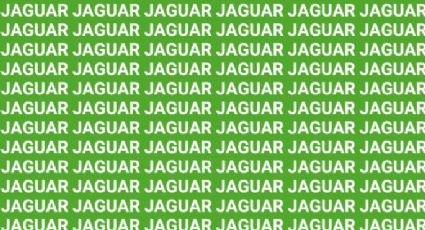 Sólo una vista de halcón puede encontrar la palabra 'Jungla' en menos de 10 segundos