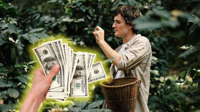 Cuáles son los 2 negocios colombianos que se dispararon en ventas en EE.UU.