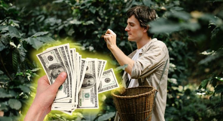 Cuáles son los 2 negocios colombianos que se dispararon en ventas en EE.UU.