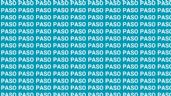 Foto ilustrativa de la nota titulada Sólo una vista de halcón puede encontrar la palabra "Peso" en 10 segundos