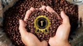 Foto ilustrativa de la nota titulada Cuál es el país con el mejor grano de café de todo el mundo que superó a Colombia en el ranking