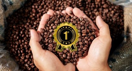 Cuál es el país con el mejor grano de café de todo el mundo que superó a Colombia en el ranking