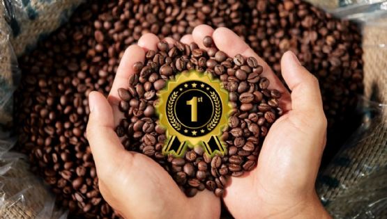 Cuál es el país con el mejor grano de café de todo el mundo que superó a Colombia en el ranking