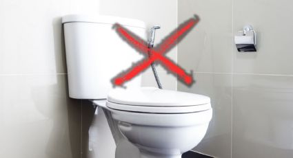 La cisterna en el baño no va más: esta es la innovadora idea que se utiliza en los baños modernos y es la última tendencia